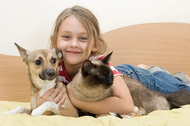 Что удобно для владельца
