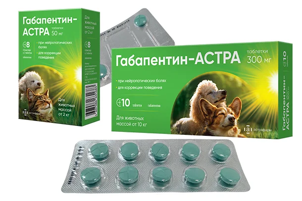 Как это работает