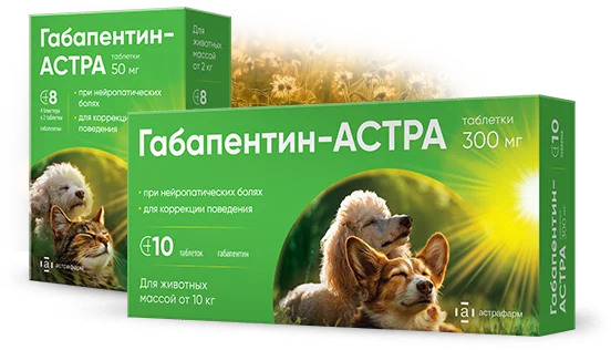 Описание и действие